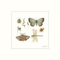 Green Fields XI Framed Print