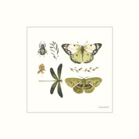 Green Fields XII Framed Print