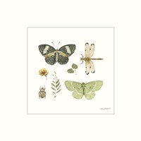 Green Fields XIII Framed Print