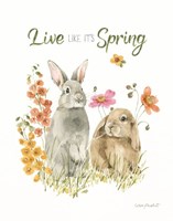 Hop on Spring VII Fine Art Print