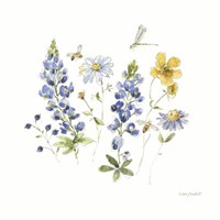 Lovely Blues III Framed Print