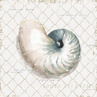 Ocean View IV Framed Print