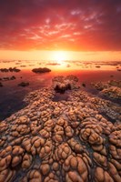 Low Tide on the Lagoon of Saint Leu Fine Art Print