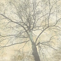 Below My Tree II (detail) Fine Art Print