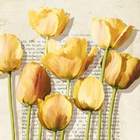 Histoires de Tulipes (detail) Framed Print