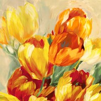 Tulips in the Sun I Framed Print