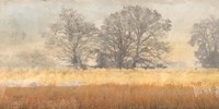 Trees in the Mist Fine Art Print
