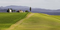 Val d'Orcia, Siena, Tuscany (detail) Fine Art Print