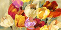 Field of Colorful Tulips Fine Art Print