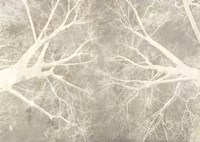 Look Up Fine Art Print