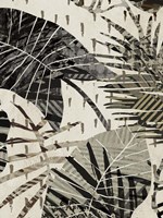 Grey Palms Panel I Fine Art Print