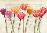 Fleurs et Histoires Fine Art Print