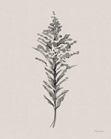 Harvest Classics IV on Cream Fine Art Print