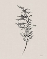 Harvest Classics V on Cream Fine Art Print