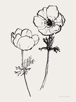 Ink Anemones II Black Fine Art Print