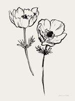 Ink Anemones I Black Fine Art Print