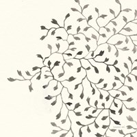 Ink Leaf II Fine Art Print