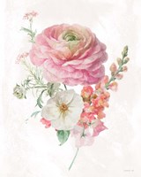 Sorbet Floret V Fine Art Print