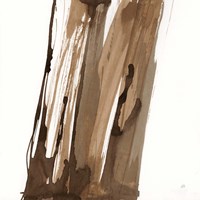 Walnut Falls II Fine Art Print