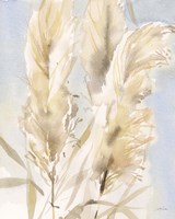 Pampas Grasses II Fine Art Print