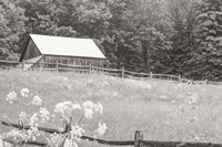 Summer Farm I BW Fine Art Print