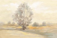 Muted Light Fine Art Print