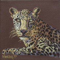 Leopard Fine Art Print