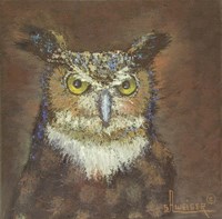 Owl Fine Art Print