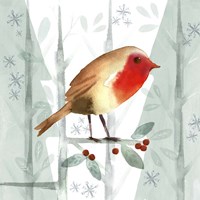 Christmas Hinterland III-Robin Fine Art Print