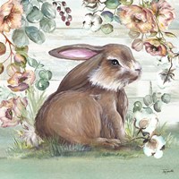 Farmhouse Bunny I Framed Print