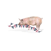 All American Farmhouse on White V Fine Art Print