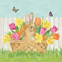 Hoppy Spring V Framed Print