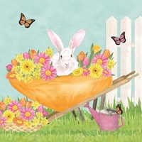 Hoppy Spring VIII Framed Print