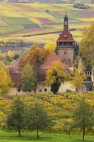 Church And Vineyards, Germany Fine Art Print