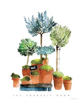 Let Yourself Grow Fine Art Print
