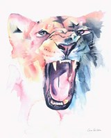Wild Lioness Framed Print