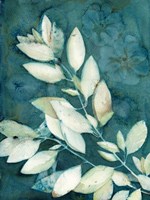 Shower of Gold VI Fine Art Print