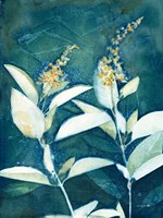 Shower of Gold IV Fine Art Print