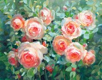 English Roses Fine Art Print