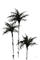 Dark Palms II Framed Print