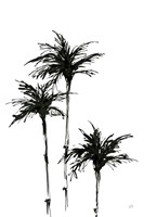 Dark Palms II Fine Art Print