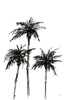 Dark Palms I Fine Art Print