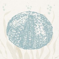 Seaside Style VIII Framed Print