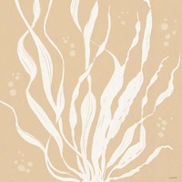 Seaside Style IV Fine Art Print