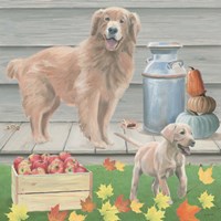 Fall at the Farm III Fine Art Print