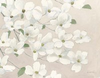 Dogwood Delight Cream Fine Art Print