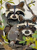 Raccoons Fine Art Print
