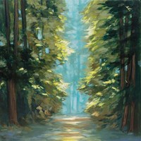 Sunlit Forest Fine Art Print
