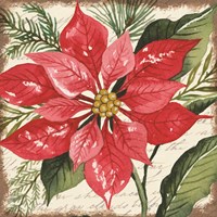 Red Poinsettia Botanical Fine Art Print