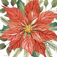 Red Poinsettia Fine Art Print